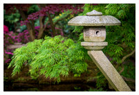 Japanse Tuin Clingendael